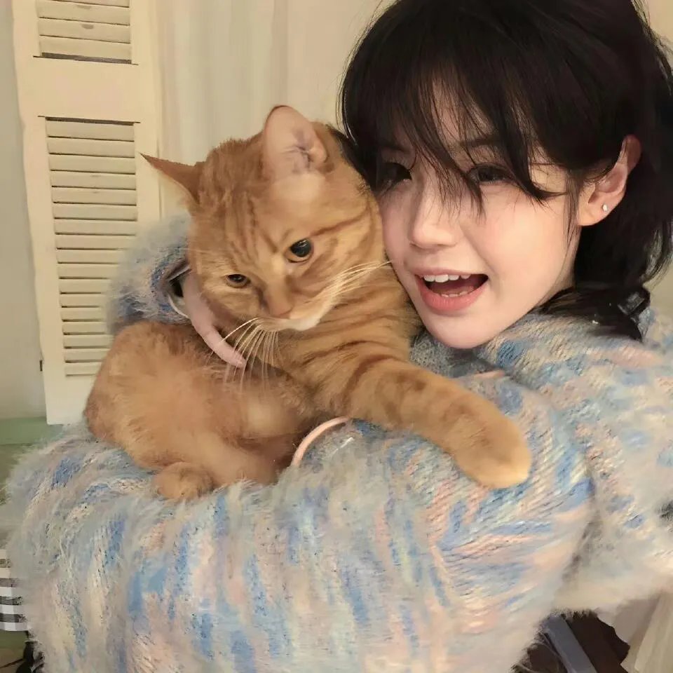 我靠摆摊娶富婆